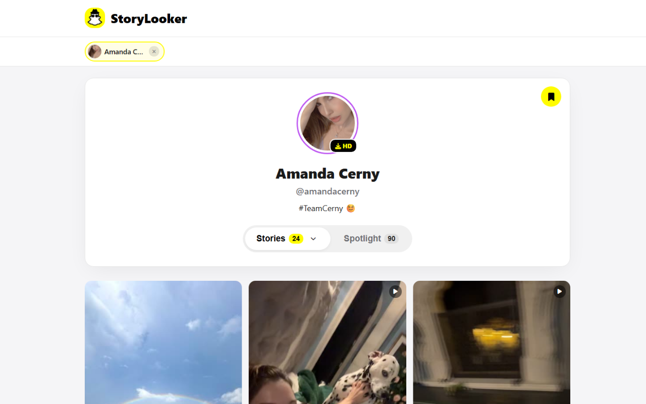 StoryLooker – Snapchat Viewer & Downloader - 截图 2