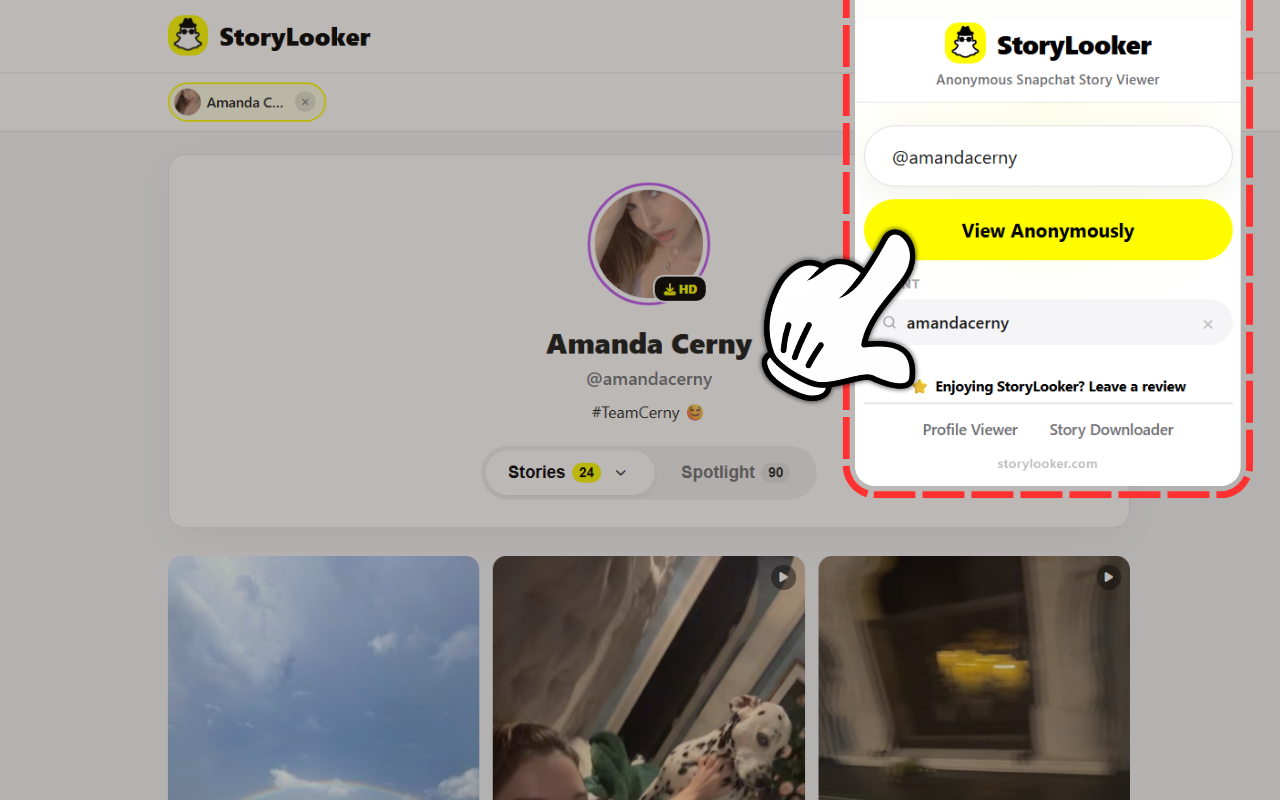 StoryLooker – Snapchat Viewer & Downloader - 截图 3