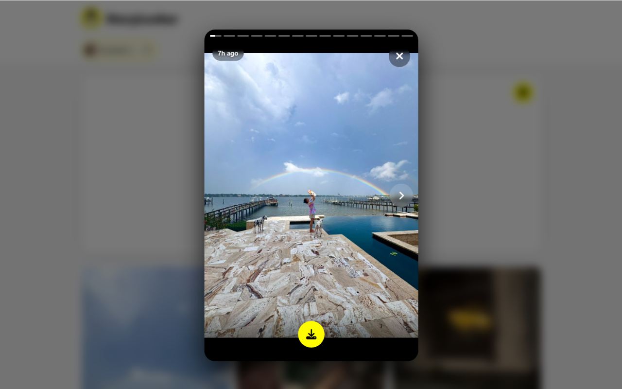 StoryLooker – Snapchat Viewer & Downloader - 截图 4