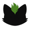 Dedoo Wallet