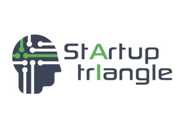Startup Triangle Extension - 截图 3