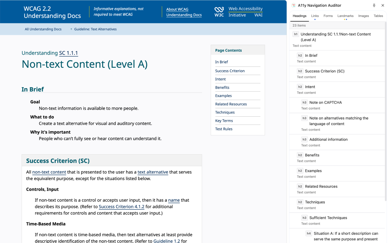 A11y Navigation Auditor - WCAG Web Accessibility Structure Audit & AI - 截图 3