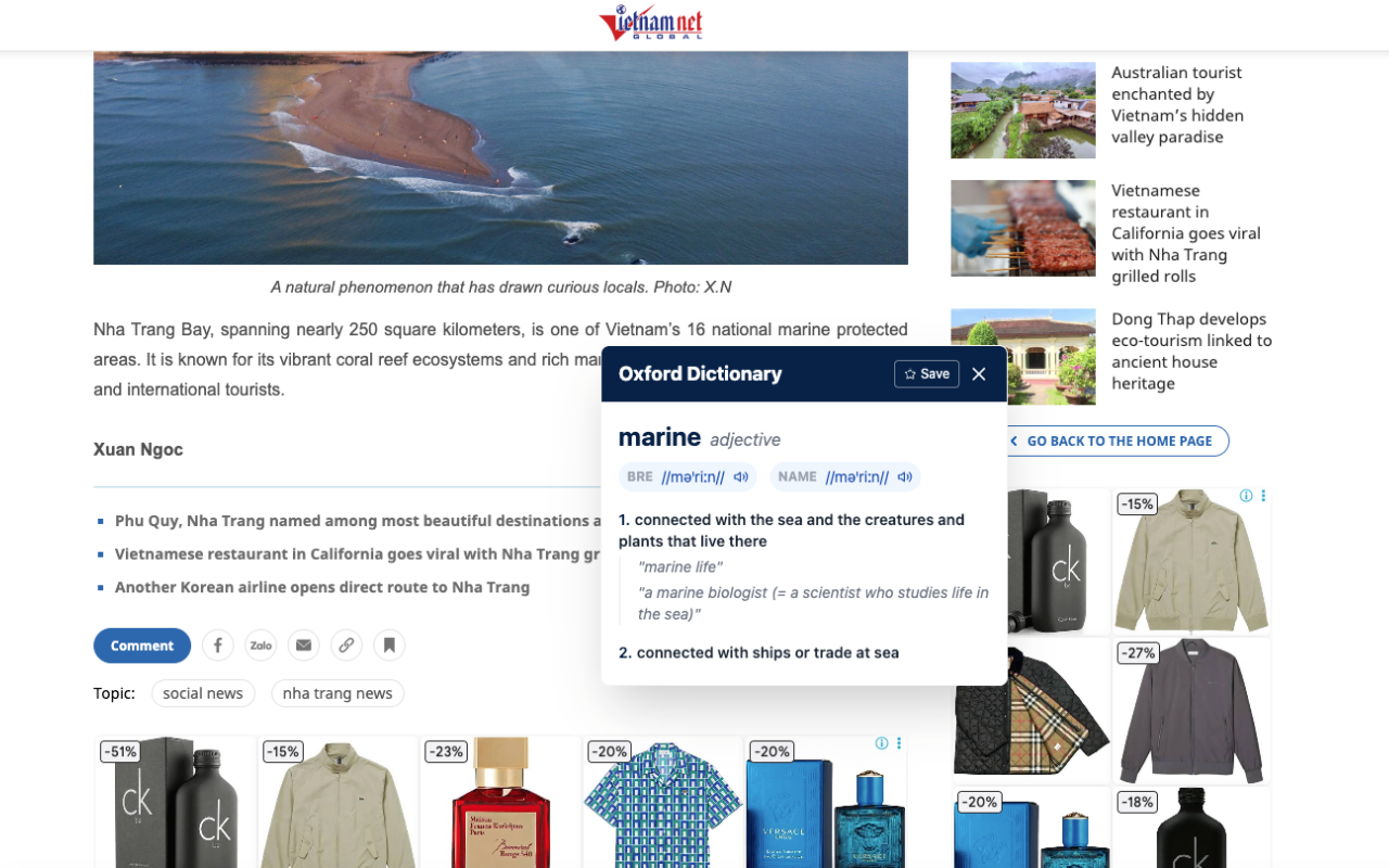 Oxford Dictionary Lookup - 截图 2