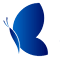 Synonym Extensions