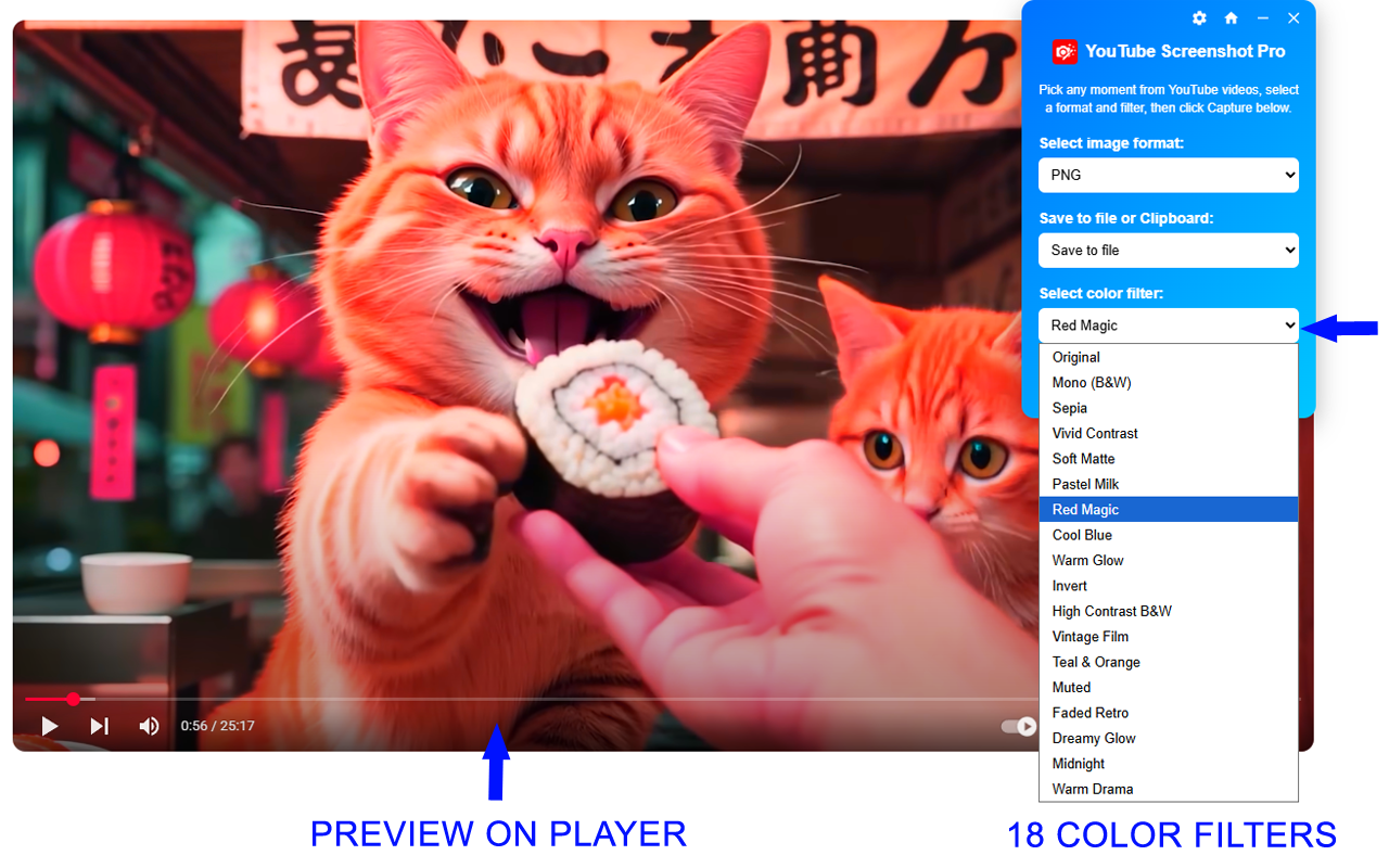 YouTube Screenshot Pro - 截图 1