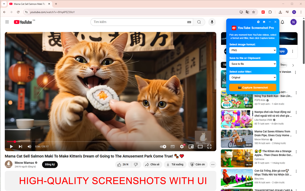 YouTube Screenshot Pro - 截图 5
