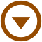 Temu Image Downloader