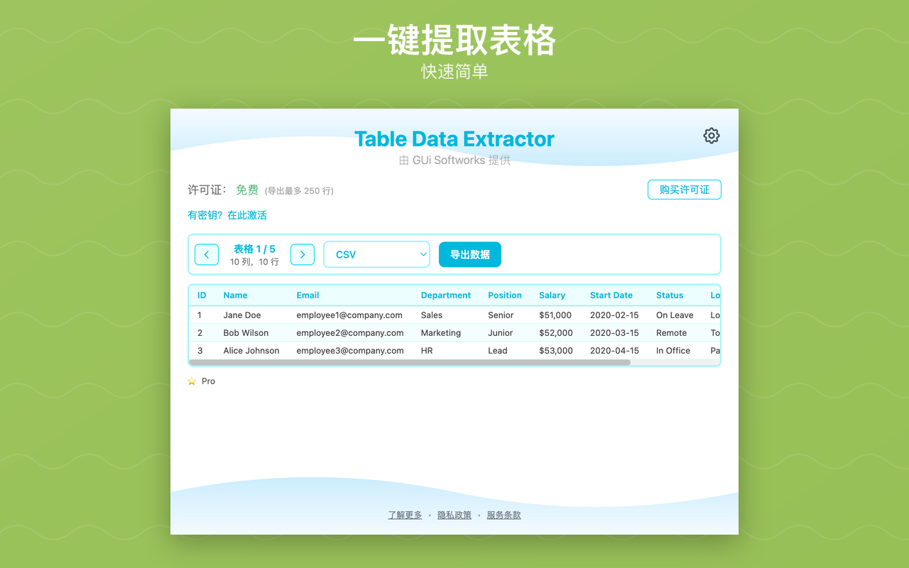 Table Data Extractor - 截图 2