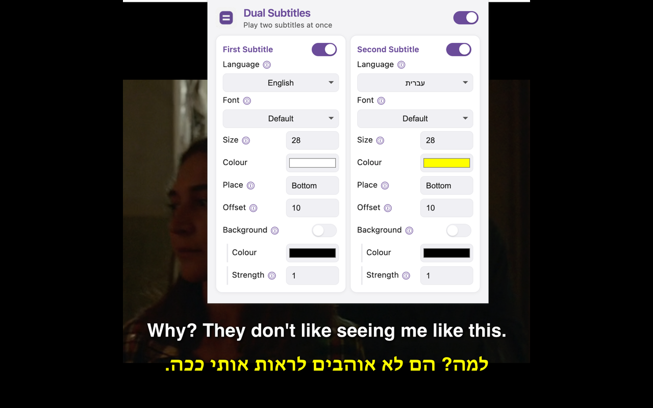 Dual Subtitles - 截图 5