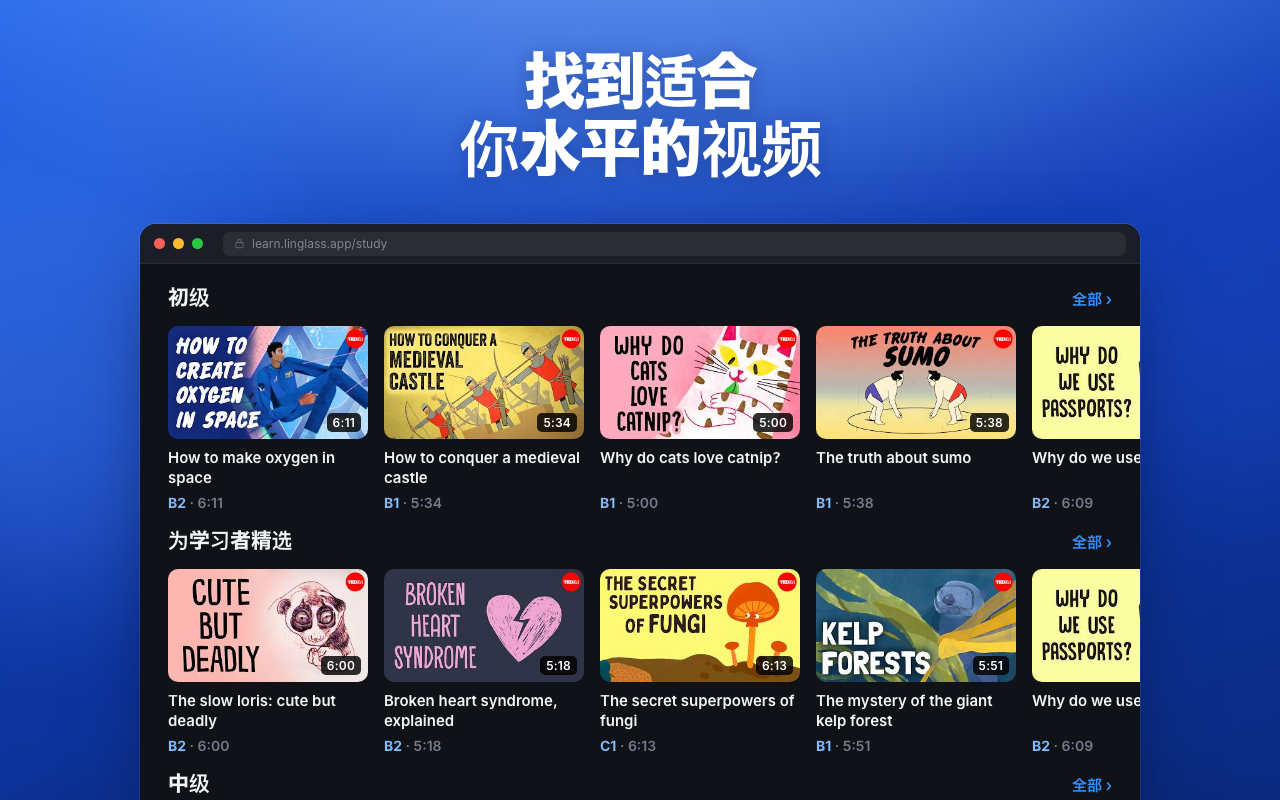 Linglass — YouTube和Netflix双语字幕 - 截图 4