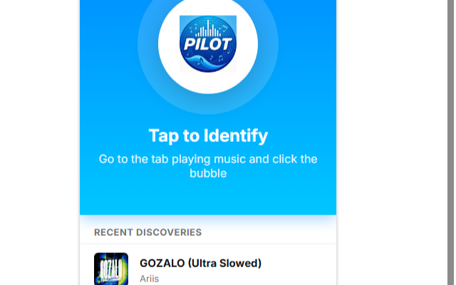 Pilot Music - Free Song Finder Works On Browser - 截图 3
