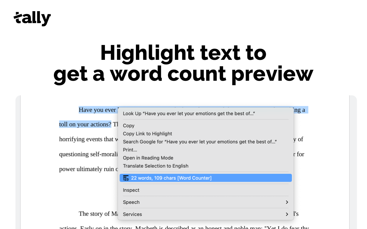 Word Counter (Tally) - 截图 3