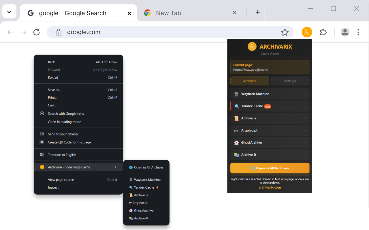 Archivarix Cache Viewer - 截图 1