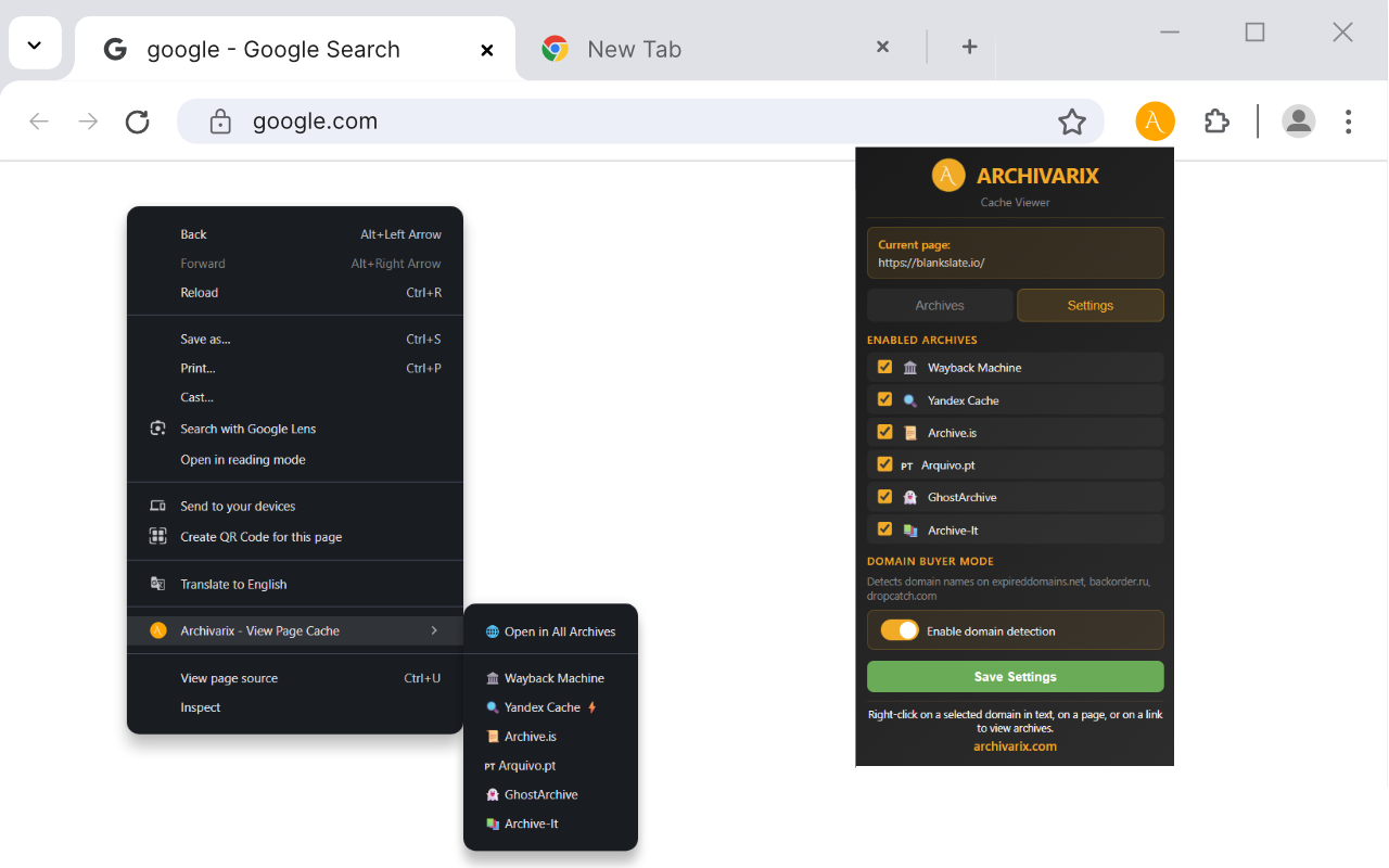 Archivarix Cache Viewer - 截图 2