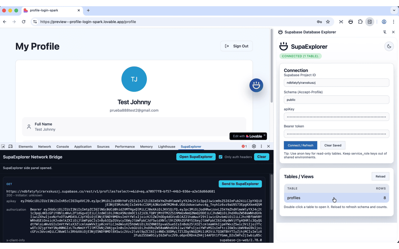 SupaExplorer - Supabase & API Key Scanner - 截图 2