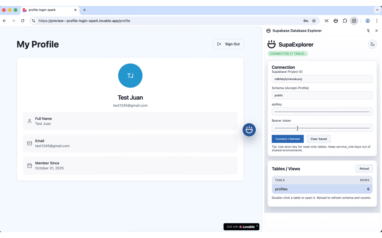 SupaExplorer - Supabase & API Key Scanner - 截图 4
