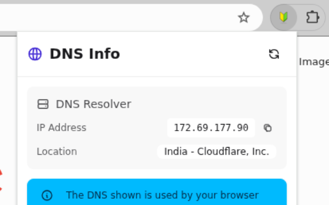 User Current DNS Details and DNS Leak Test - 截图 1