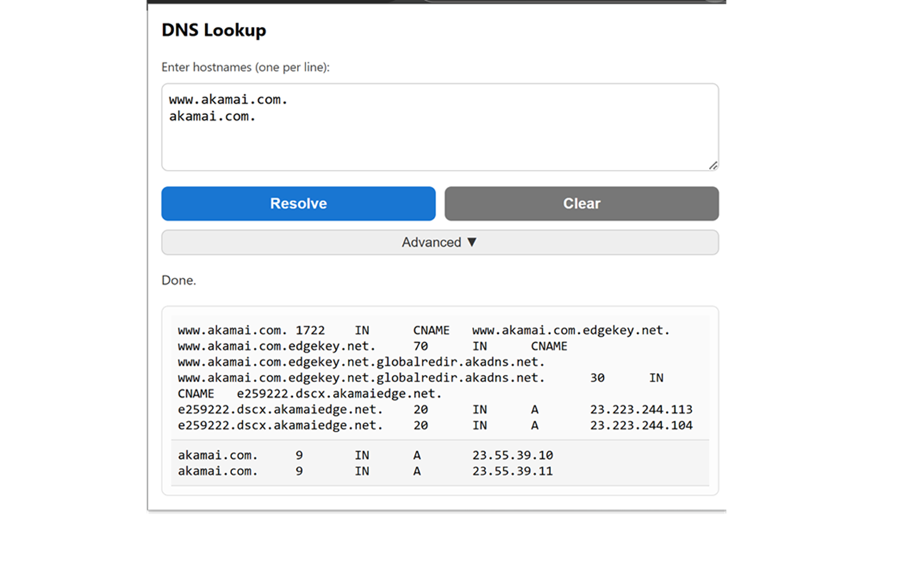 DNS Lookup Tool - 截图 1