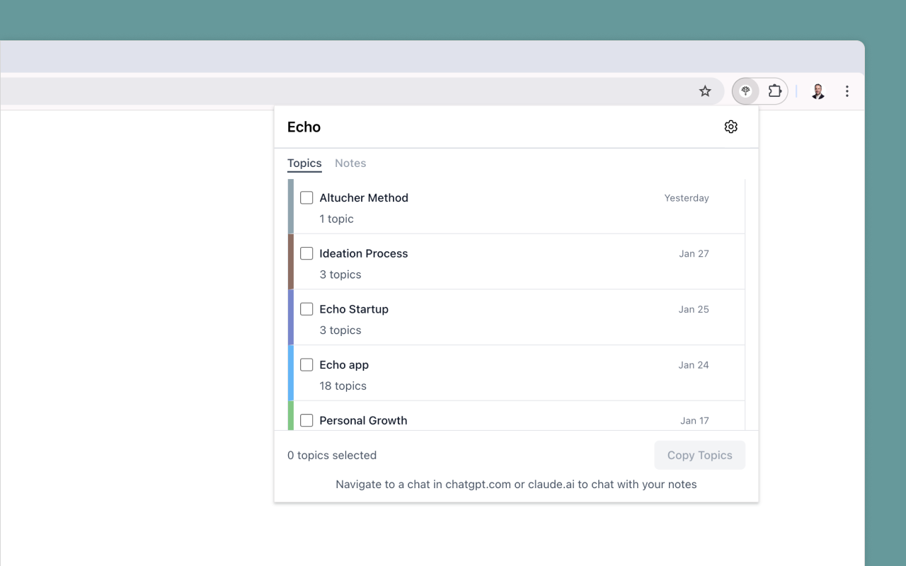 Echo Browser Extension - 截图 1