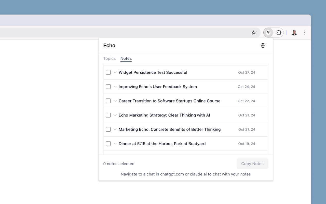 Echo Browser Extension - 截图 2