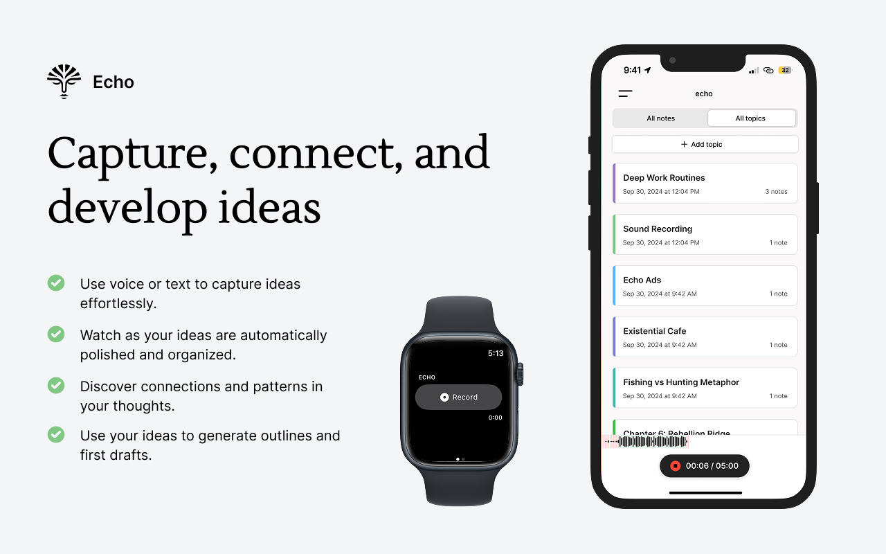 Echo Browser Extension - 截图 3