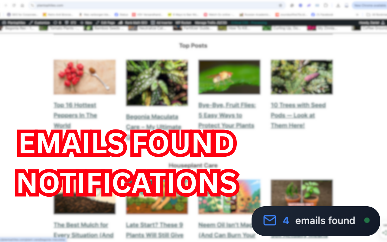 Email Extractor — Lead Finder & Contact Scraper on Any Page - 截图 2