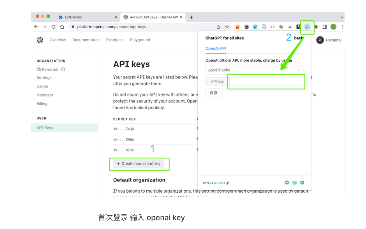 ChatGPT for all sites - 截图 2