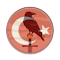 Klanlar Türk Bayrağı
