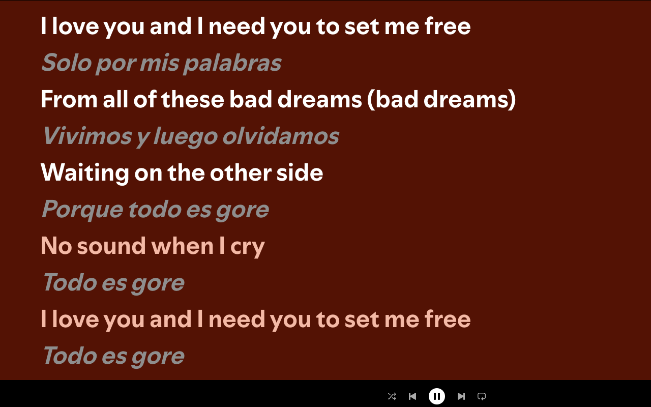 Spotify Lyrics Translator - 截图 2