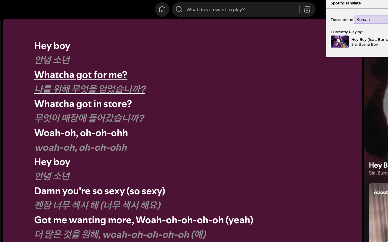 Spotify Lyrics Translator - 截图 3