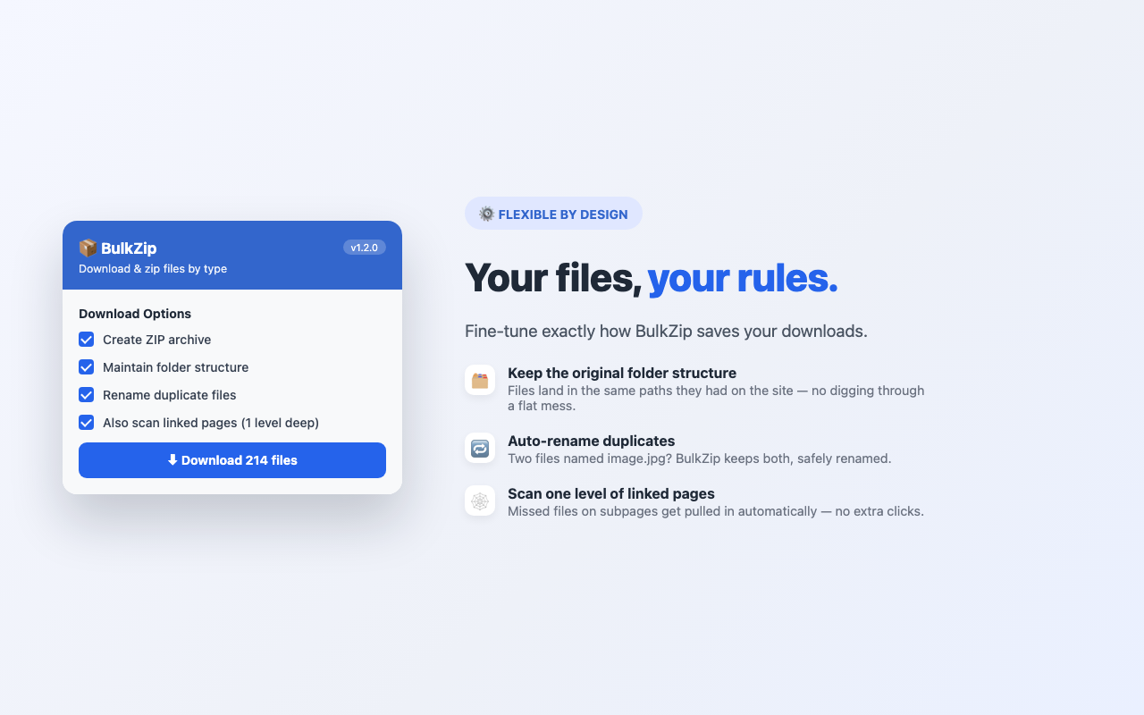 BulkZip File Downloader - 截图 4