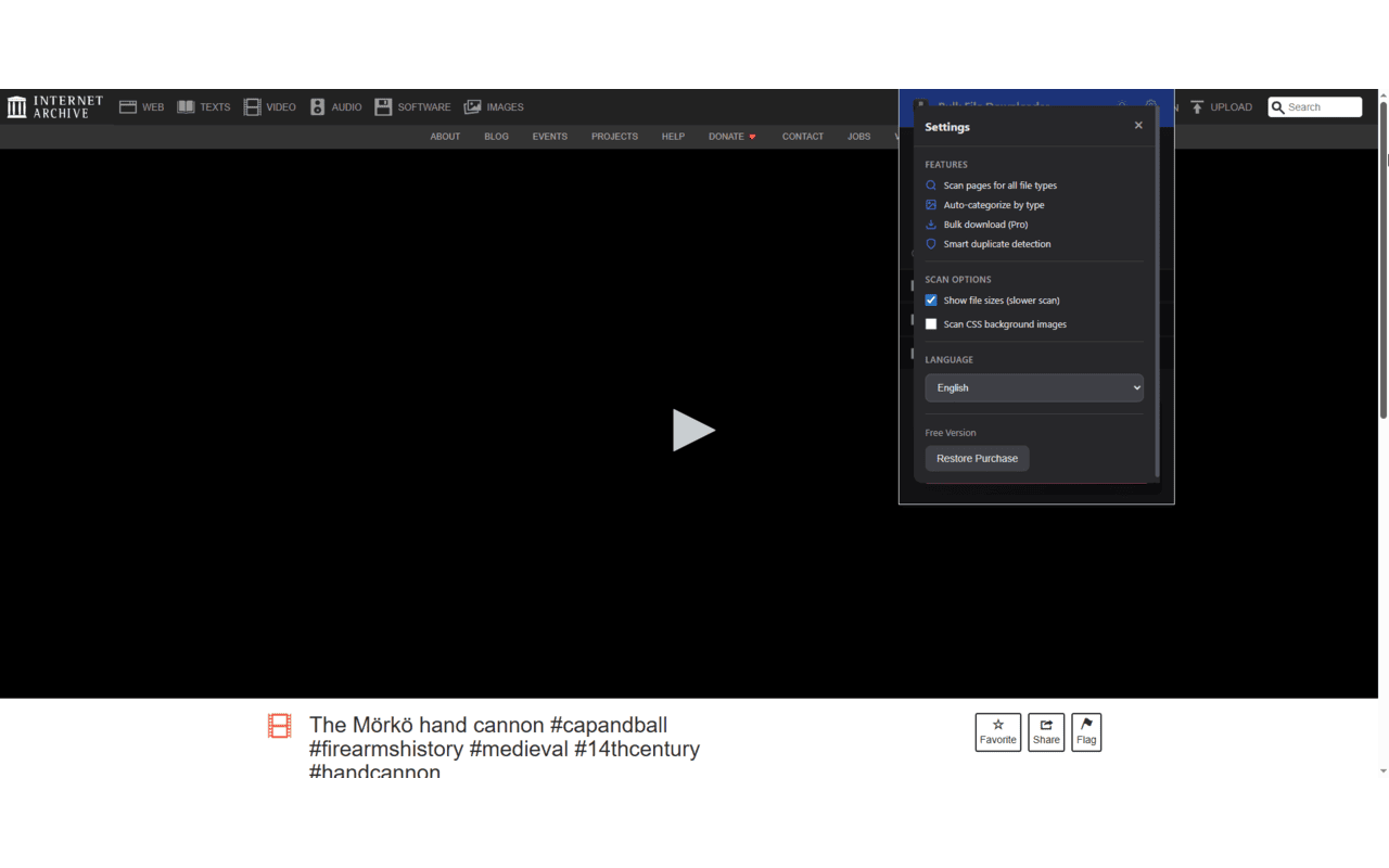 Bulk File Downloader - 截图 4
