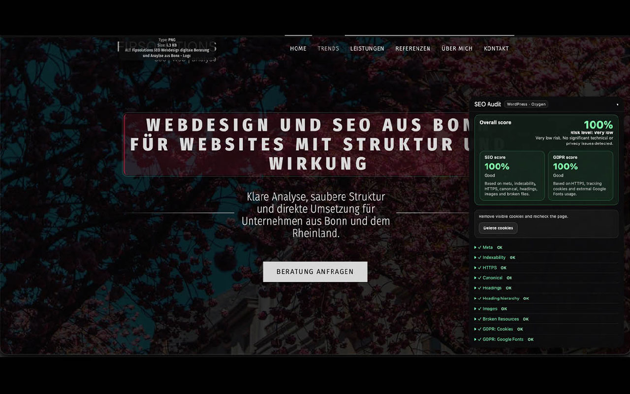 Visual SEO Audit – On-Page, GDPR & CMS Detector - 截图 1