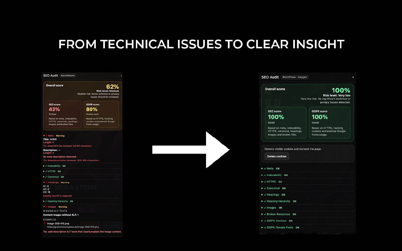 Visual SEO Audit – On-Page, GDPR & CMS Detector - 截图 2
