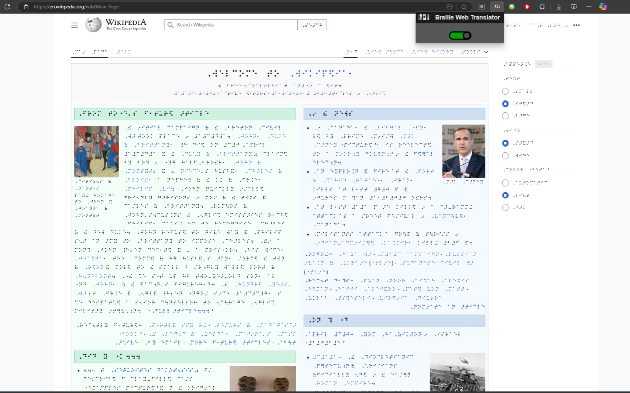 Braille Web Translator - 截图 1