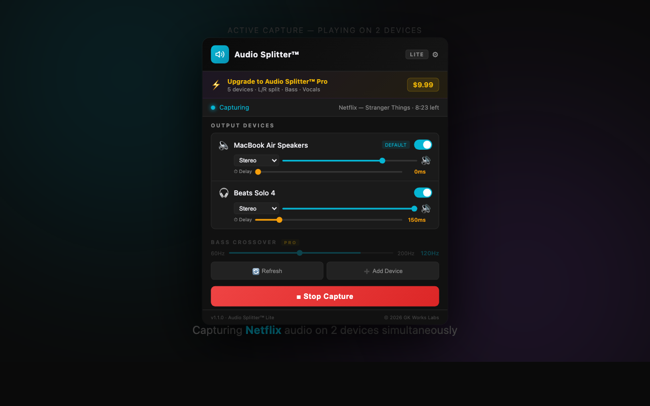Audio Splitter Lite - 截图 1