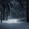 Dark Winter Forest Road Live Wallpaper