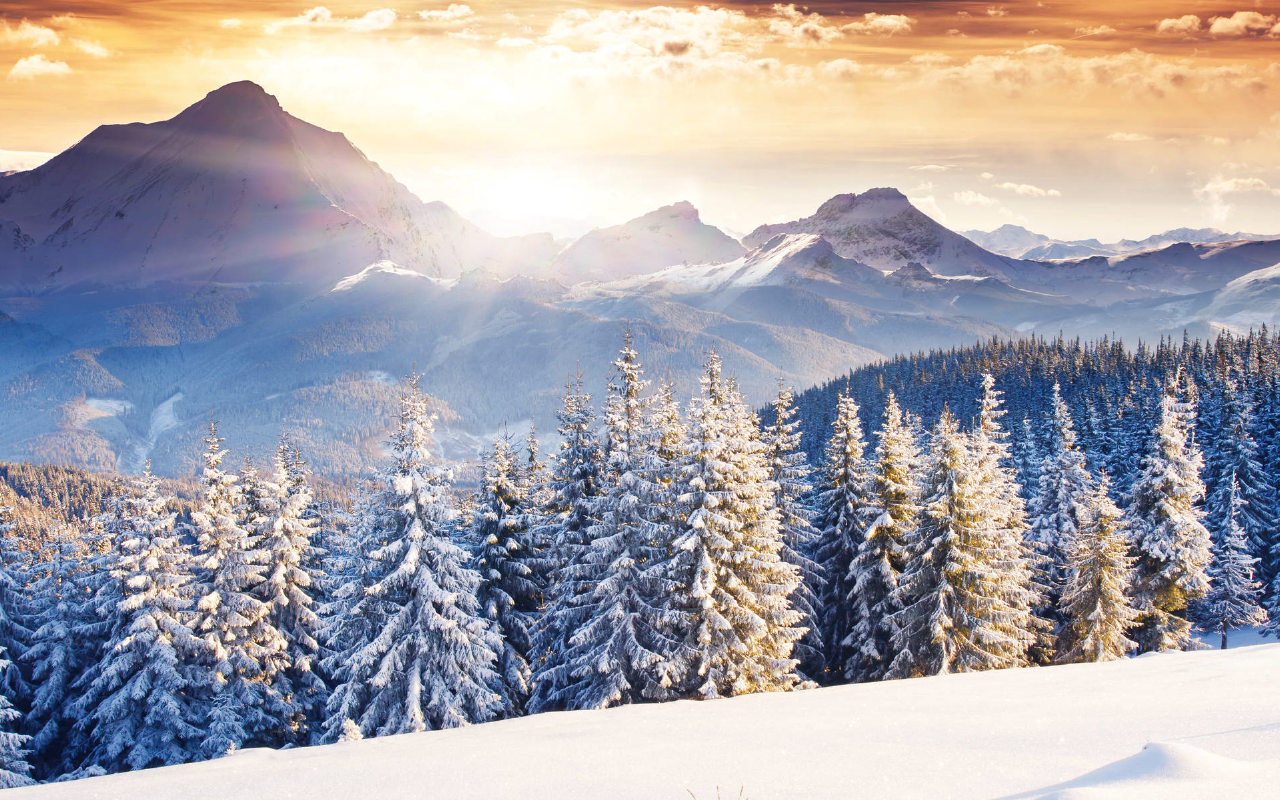 Winter Chill HD Wallpapers New Tab - 截图 5