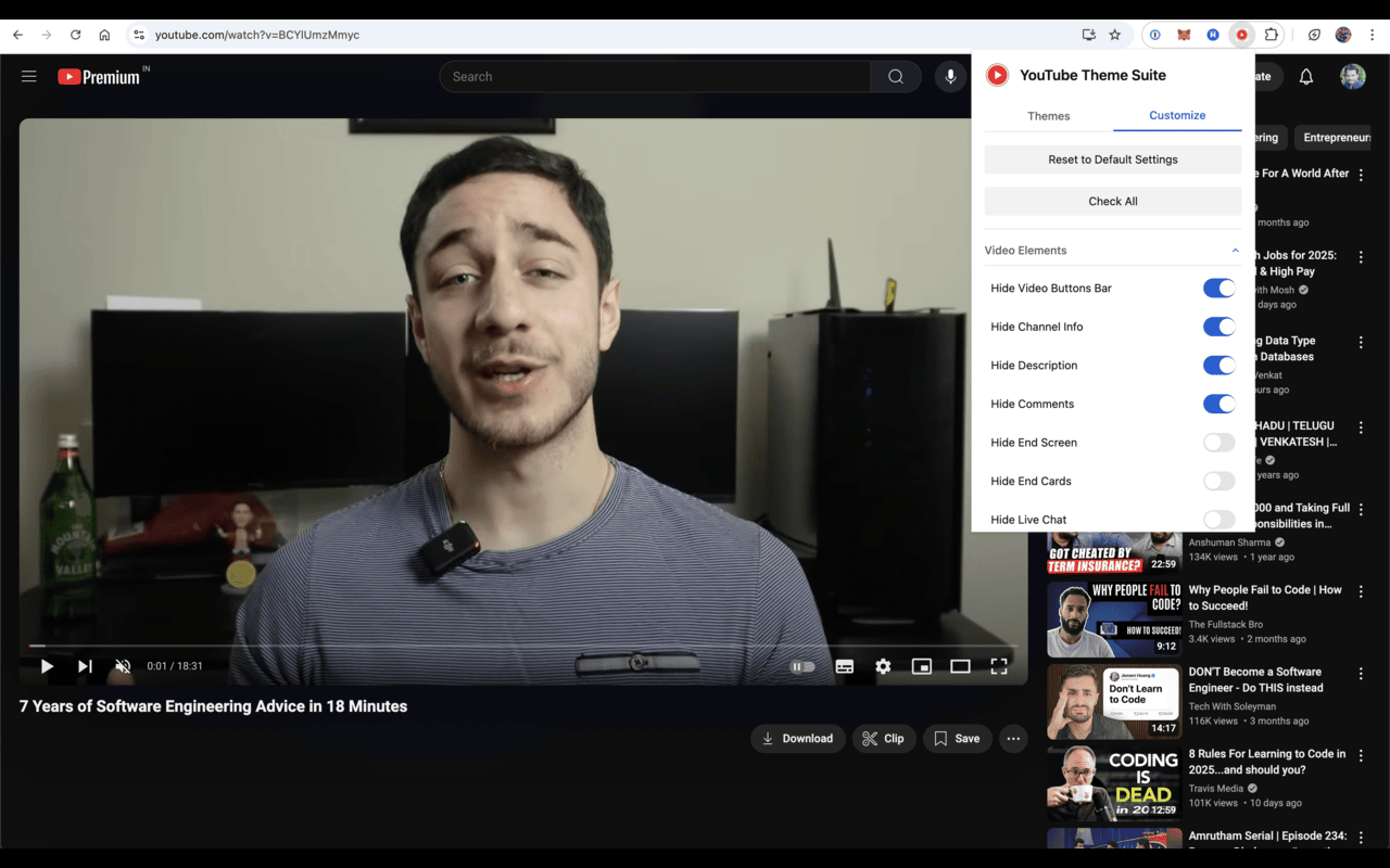 YouTube Theme Suite - 截图 3