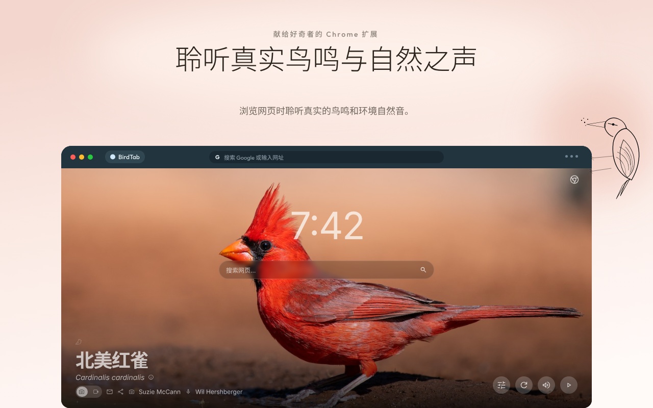 BirdTab - 鸟类壁纸与自然音效的新标签页 - 截图 1