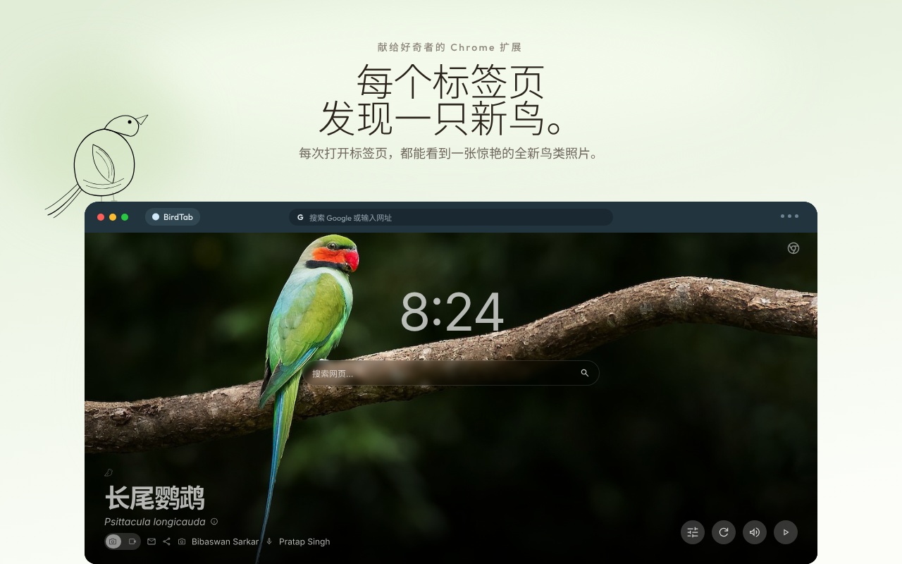 BirdTab - 鸟类壁纸与自然音效的新标签页 - 截图 3