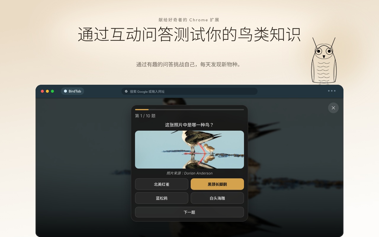 BirdTab - 鸟类壁纸与自然音效的新标签页 - 截图 4