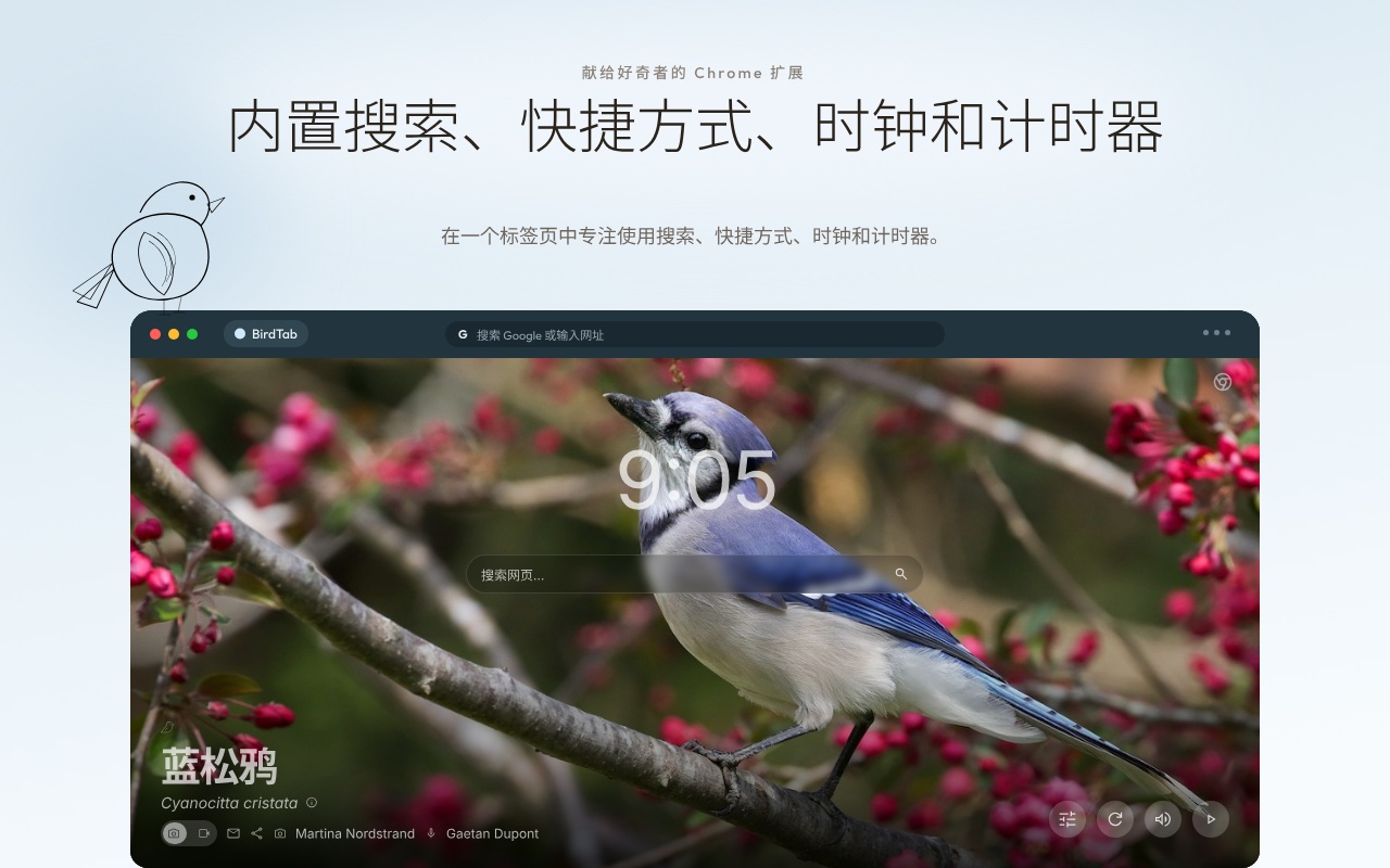 BirdTab - 鸟类壁纸与自然音效的新标签页 - 截图 5