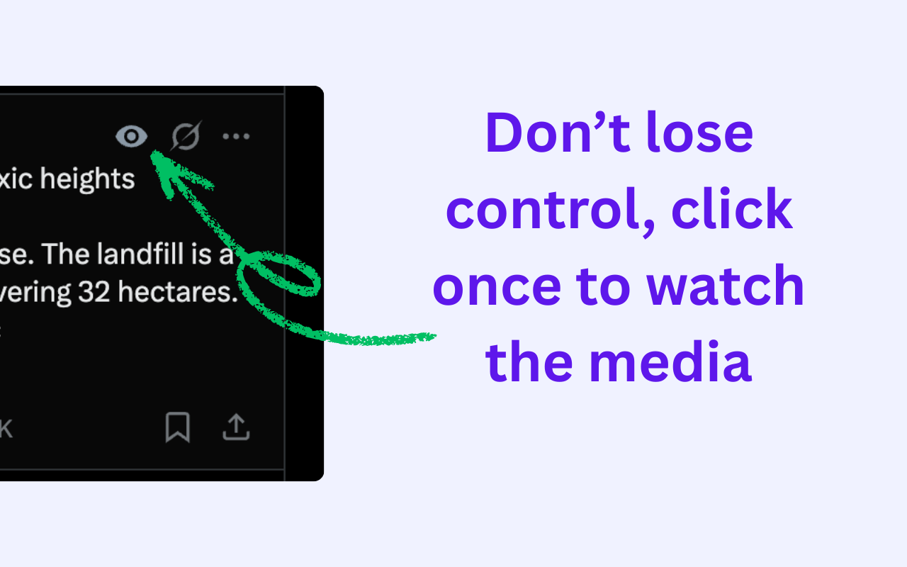 X/Twitter Feed Video/Image Blocker - 截图 1