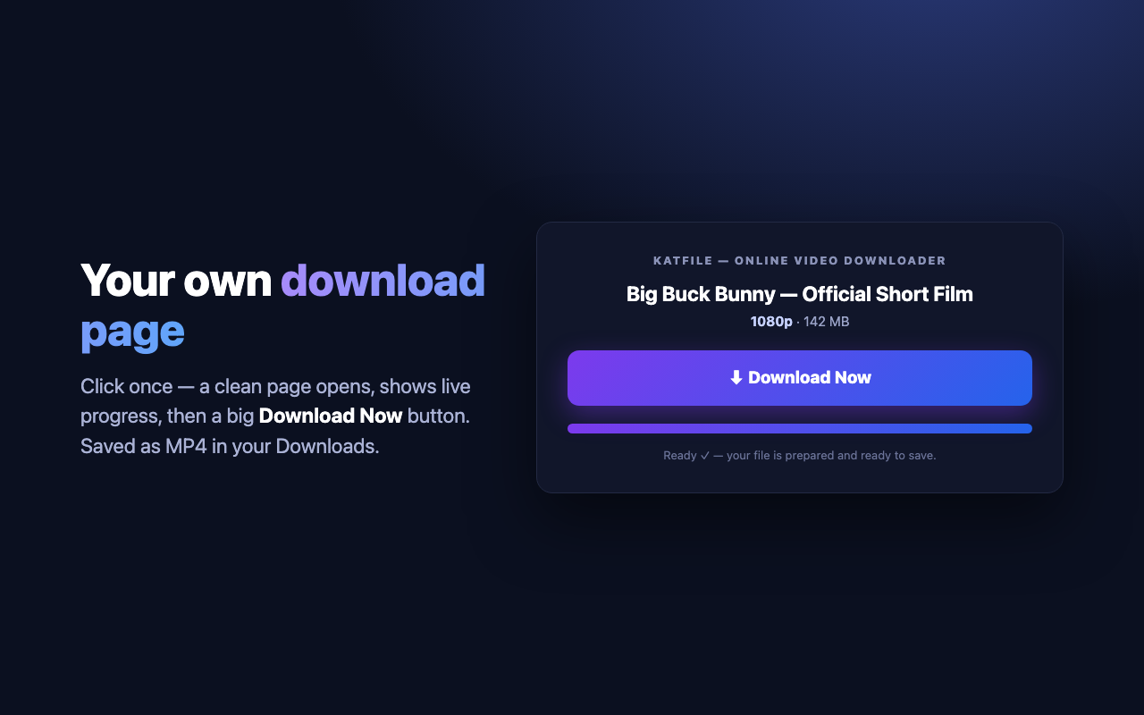 KatFile - Online Video Downloader - 截图 1