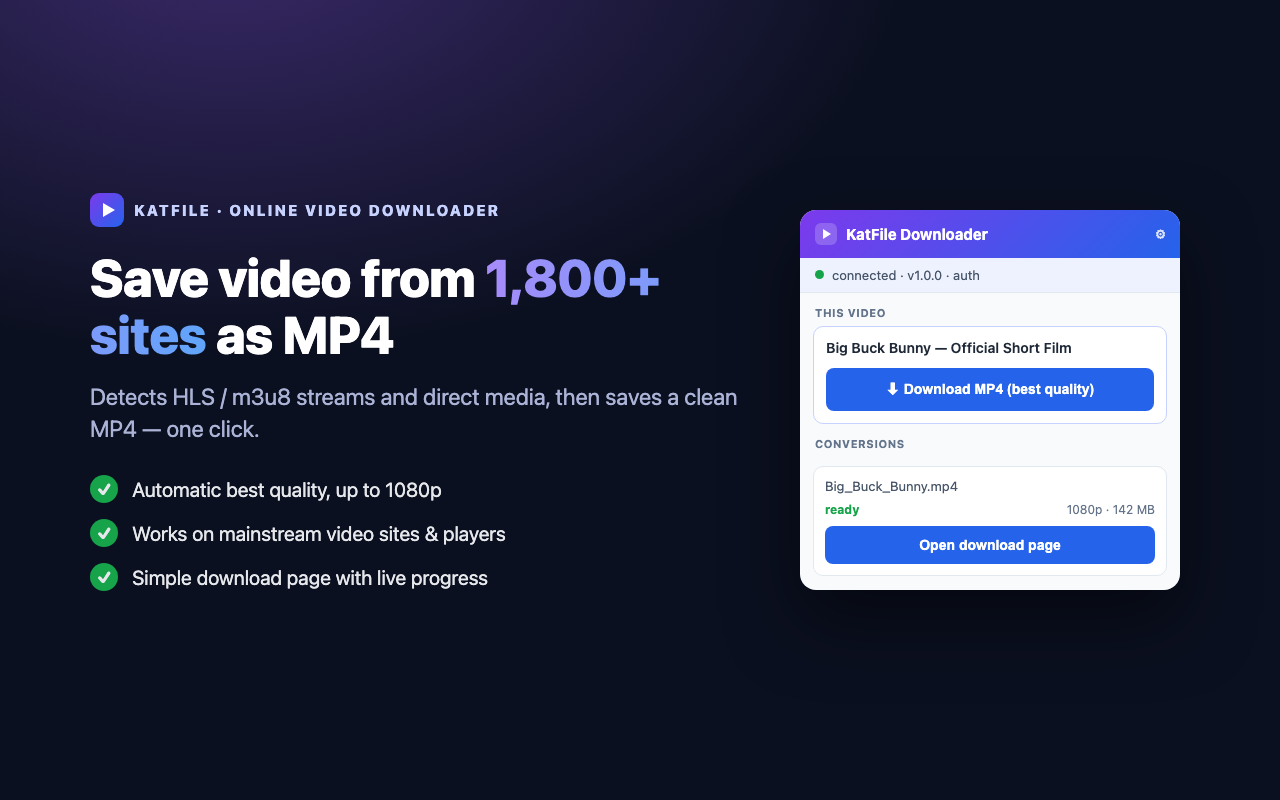 KatFile - Online Video Downloader - 截图 2