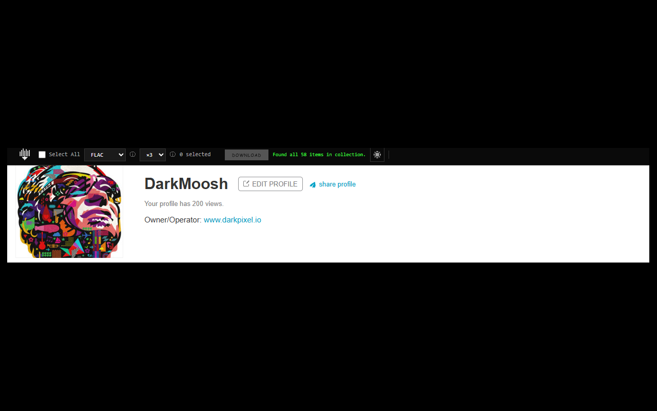 DarkPixel Bandcamp Downloader - 截图 3