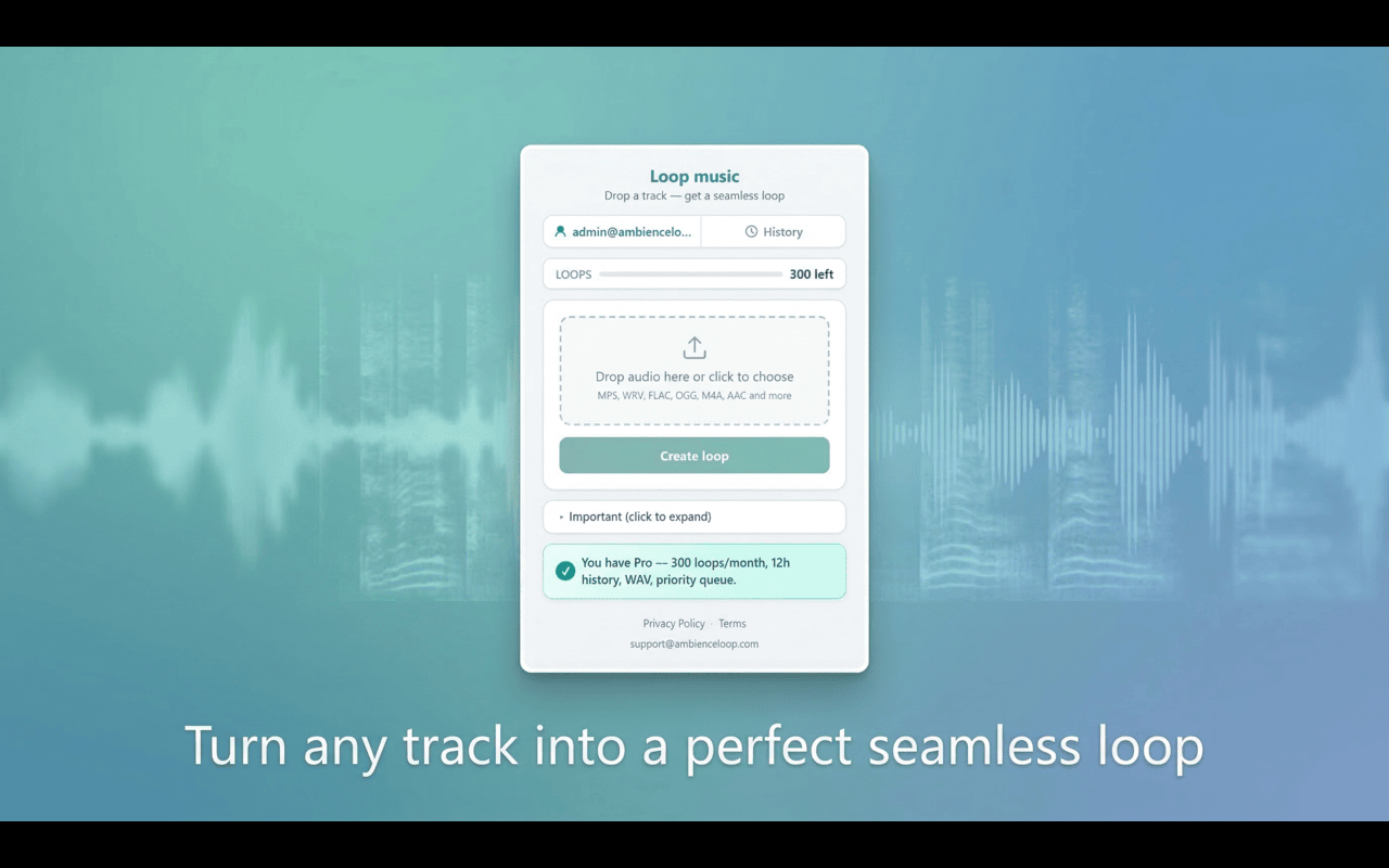 Loop Music: Seamless Audio Looper - 截图 3