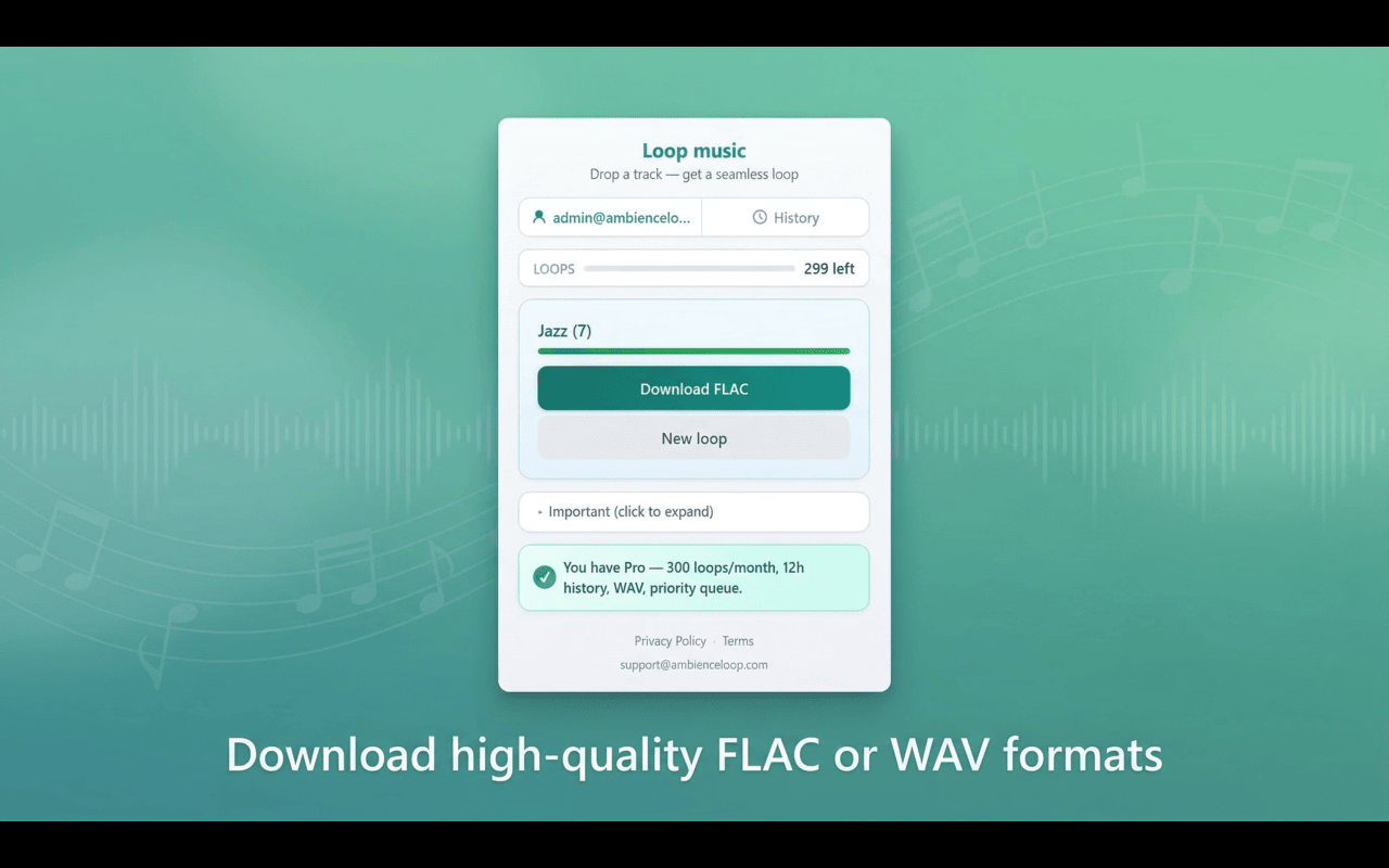 Loop Music: Seamless Audio Looper - 截图 4