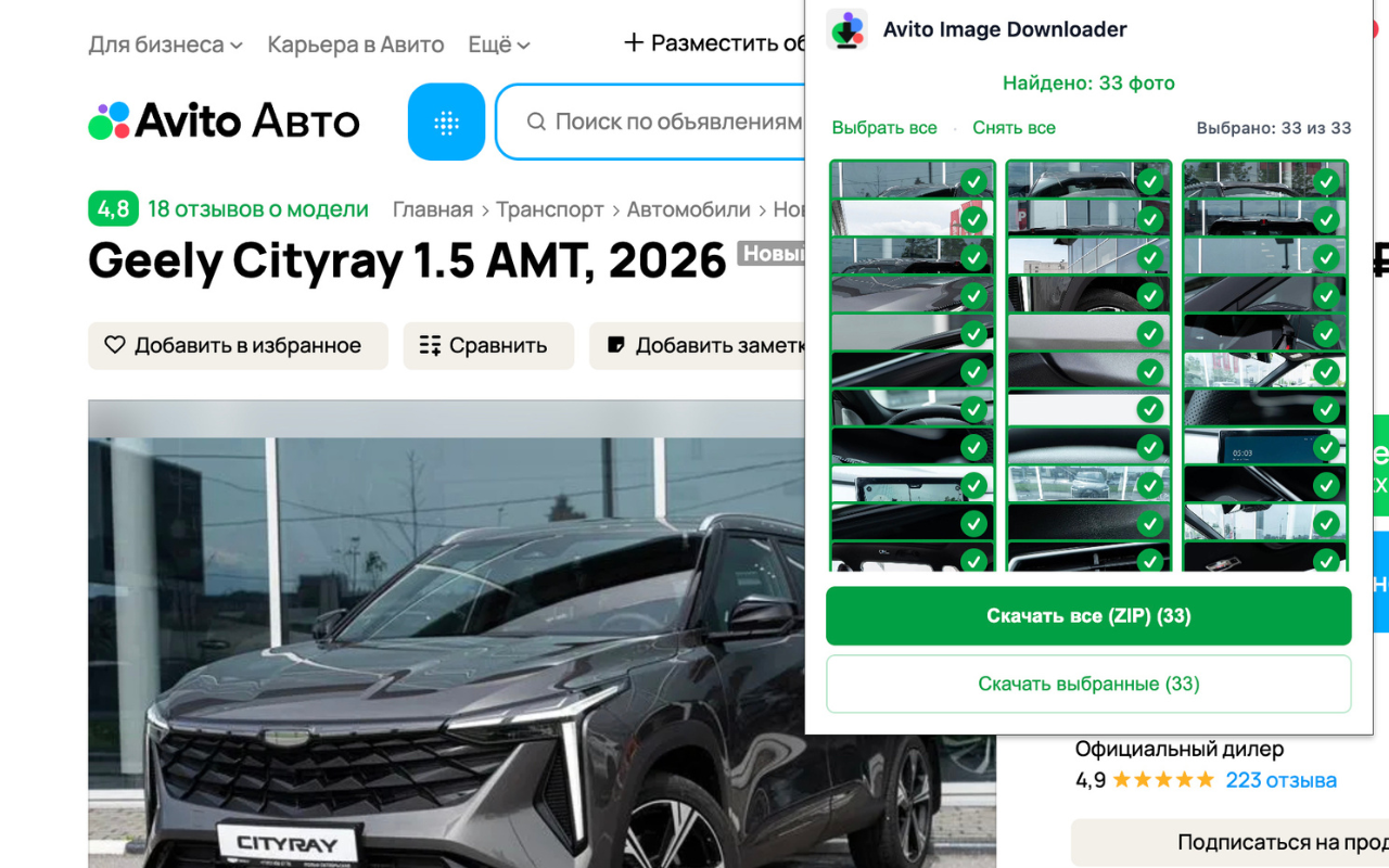 Avito Image Downloader - 截图 1